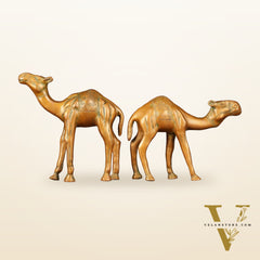 Brass Superfine Pair of Camel Vastu Recommended - 7" Tall