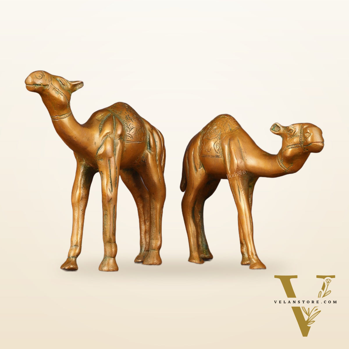 Brass Superfine Pair of Camel Vastu Recommended - 7" Tall