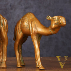 Brass Superfine Pair of Camel Vastu Recommended - 7" Tall