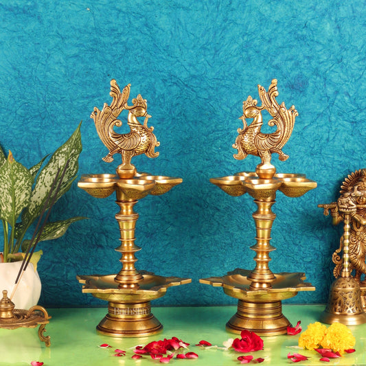 Brass superfine peacock lamp 15"