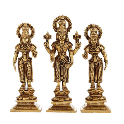 Brass Tirupati Balaji Idol Set with Bhudevi and Sridevi | 8 inch