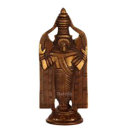 Brass tirupati Balaji statue 8"