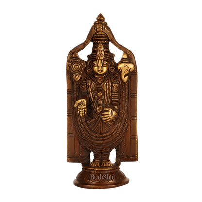 Brass tirupati Balaji statue 8"