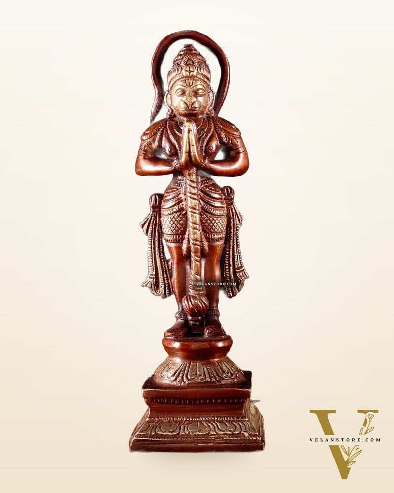 Brass Unique Hanuman Ji in Anjali Mudra Statue - 7" Tall double chola tone