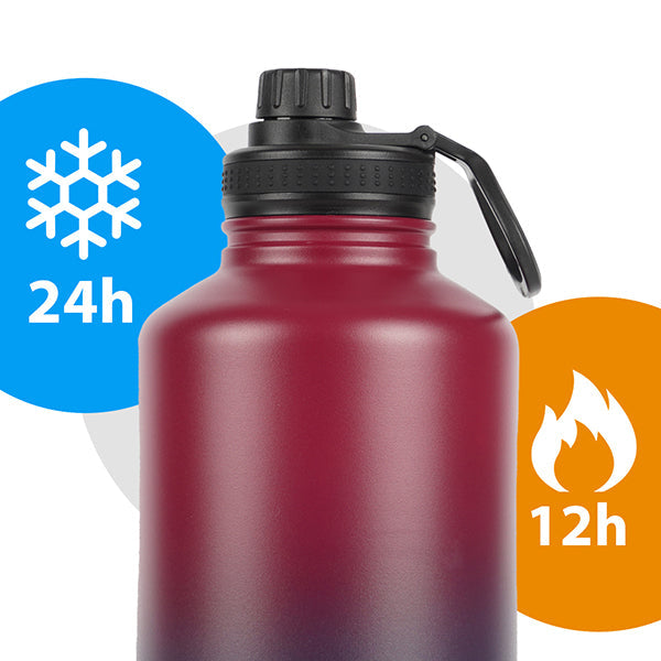 Insulated Water Bottle 650 ML