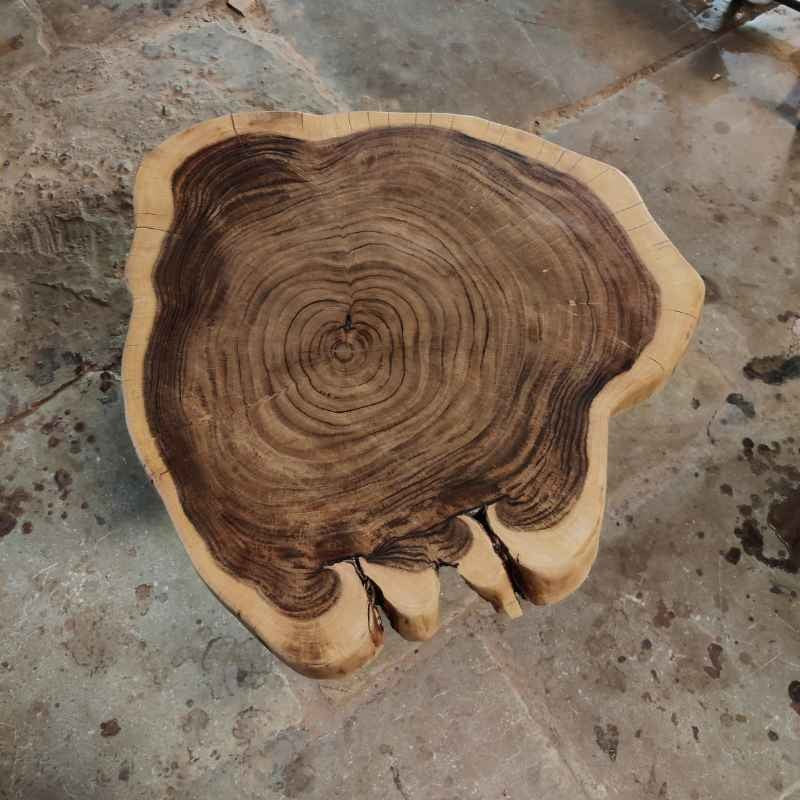 Rustic Live Edge Solid Wood Crosscut Slab | Organic Trunk Tree Coffee Table | Custom Natural Wood Center Table - Home Interior Decor