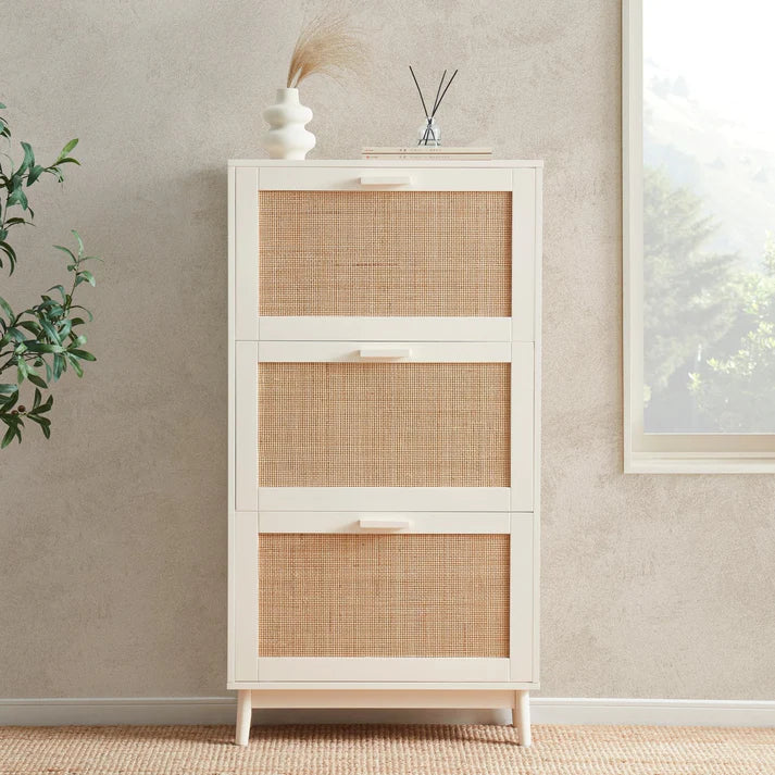 Canora Shoe Cabinet