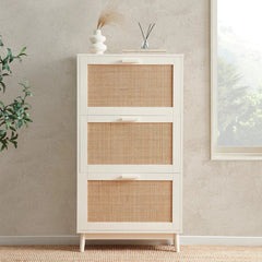 Canora Shoe Cabinet