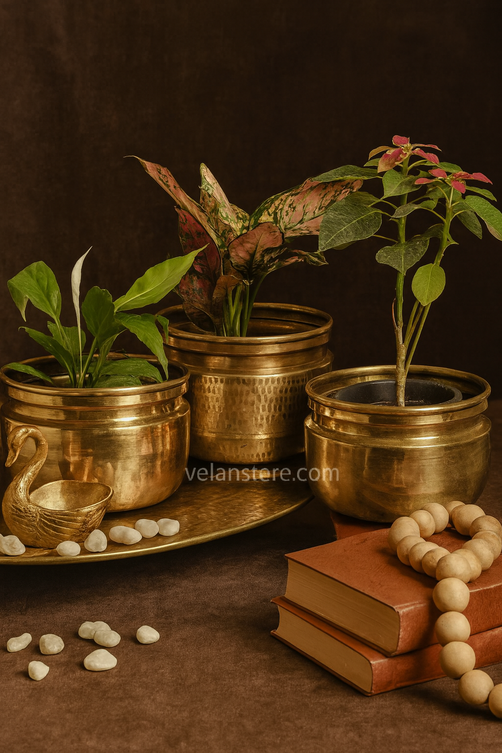 Brass Planters