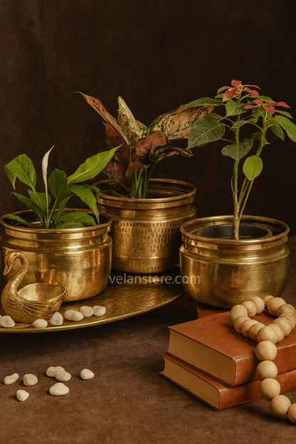 Brass Planters