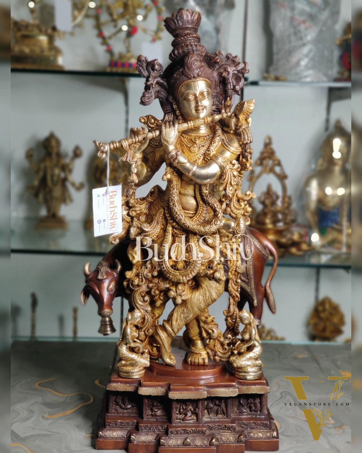 Divine Krishna with cow Brass Idol duel tone 29 inch