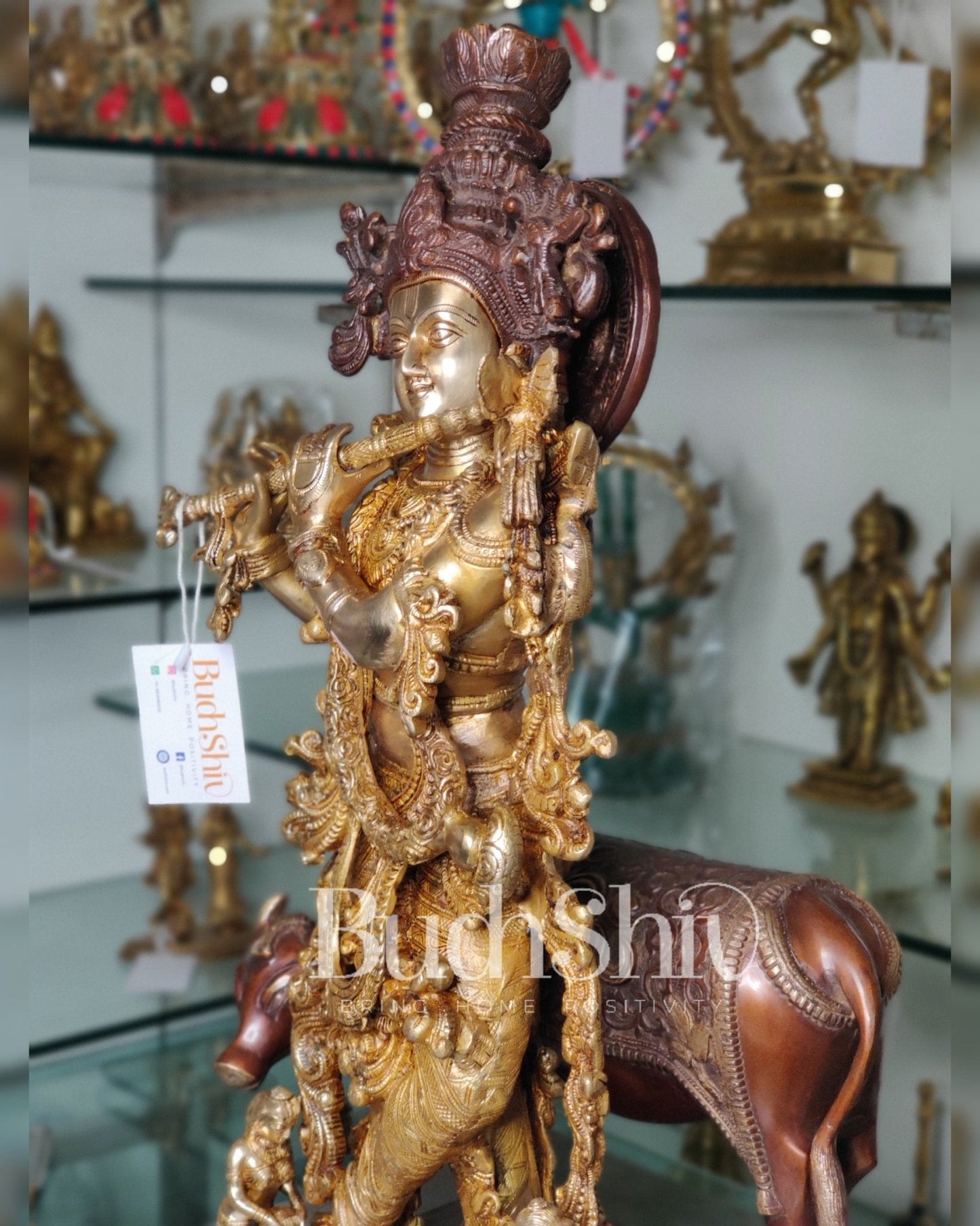 Divine Krishna with cow Brass Idol duel tone 29 inch