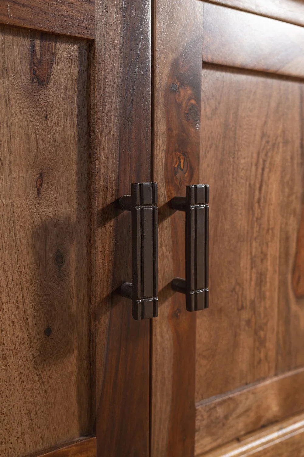 Sierra Storage Trunk with Cupboard