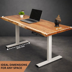 Electric Height Adjustable Standing Desk with Live Edge Solid Wood Desk with Multiple top options