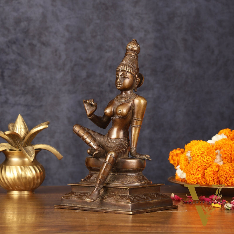 Elegant Bhoga Shakti Pure Brass Seated Parvati Idol – 9 Inch Height
