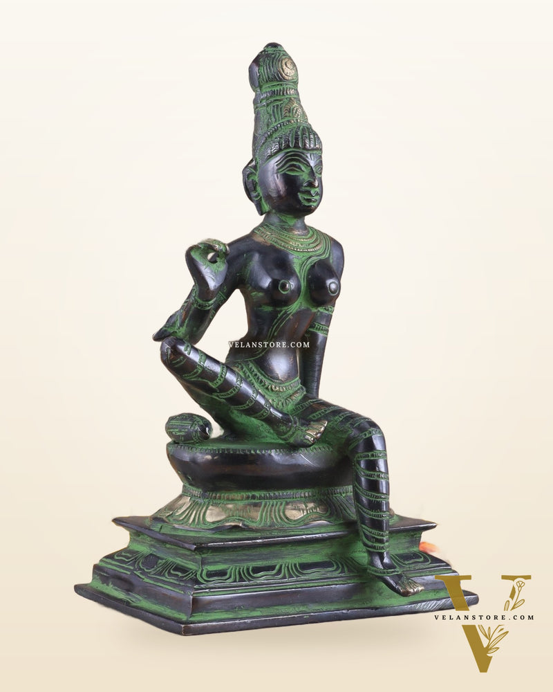 Elegant Bhoga Shakti Pure Brass Seated Parvati Idol – 9 Inch Height black and green tone