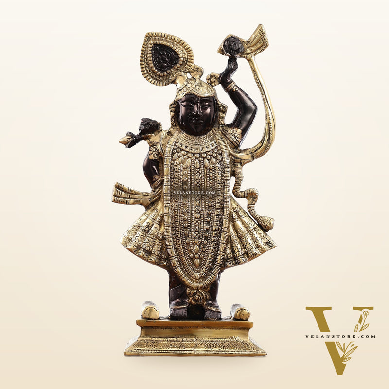 Exquisite Brass Shreenath ji Murti - 18 Inch | Fine Details & Craftsmanship