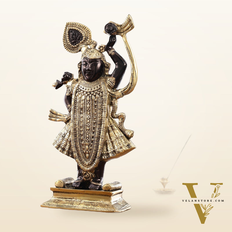 Exquisite Brass Shreenath ji Murti - 18 Inch | Fine Details & Craftsmanship