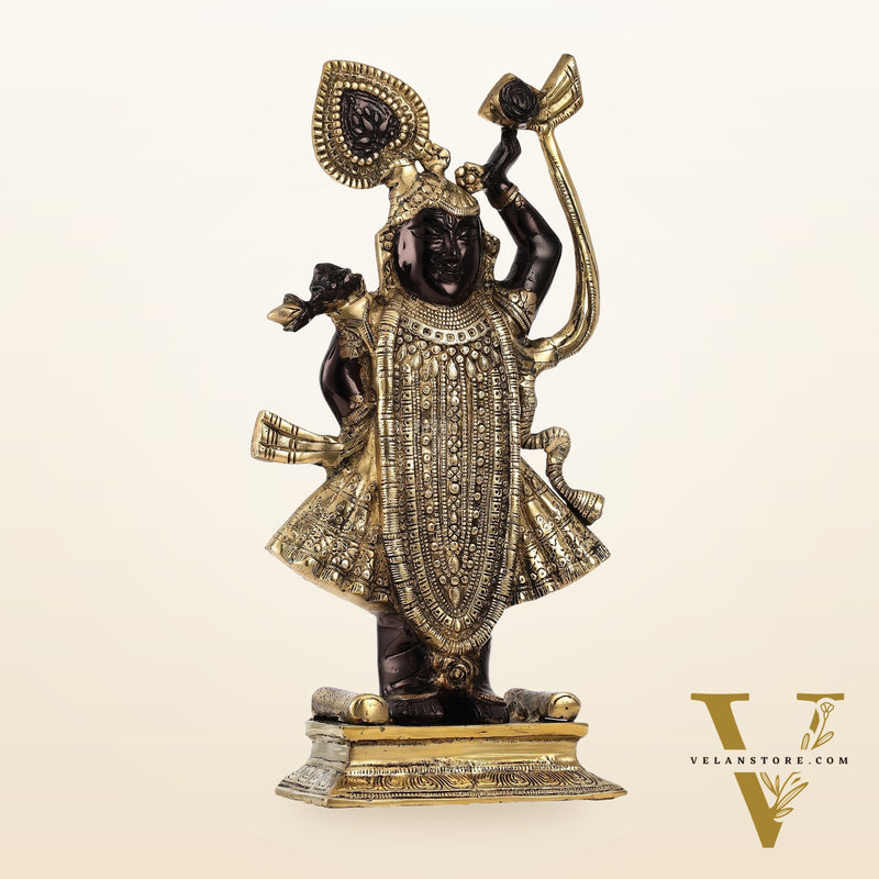 Exquisite Brass Shreenath ji Murti - 18 Inch | Fine Details & Craftsmanship