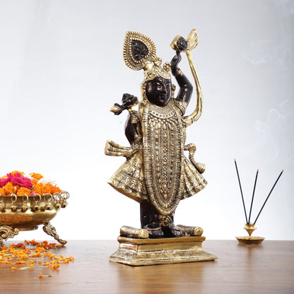 Exquisite Brass Shreenath ji Murti - 18 Inch | Fine Details & Craftsmanship
