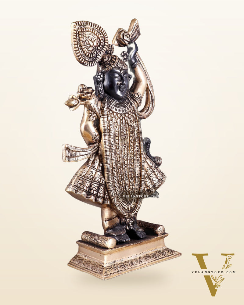Exquisite Brass Shrinath ji Murti - 18 Inch |