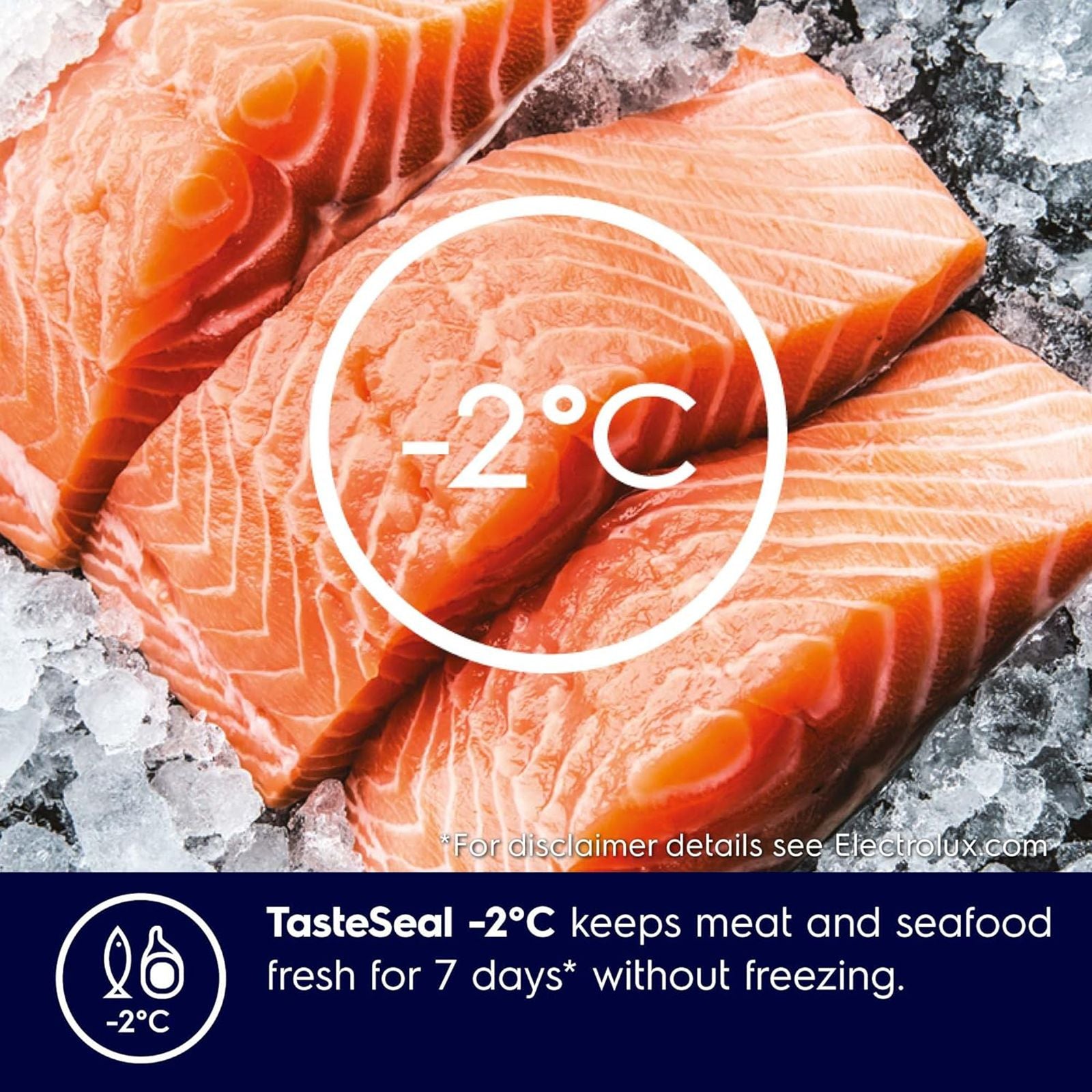 Electrolux UltimateTaste 300 341 Litres 2 Star Frost Free Double Door Refrigerator with Door Alarm (ETB3700K-H, Glossy Black Steel)