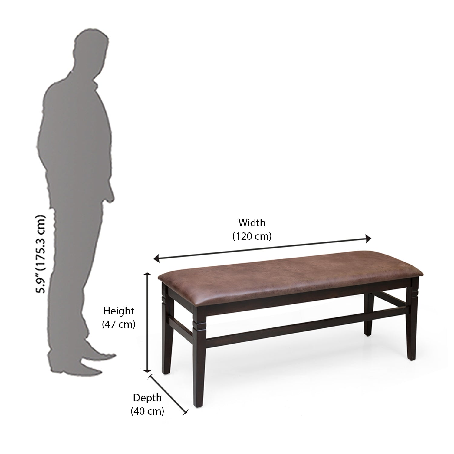 Nilkamal Fern Multi Use Long Sitting Bench for Living Room | Dining Room (Erin Brown)