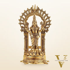 Fully Engraved Superfine Brass Lord Venkateshwara Swamy Standing on Tortoise with Prabhavali 17"