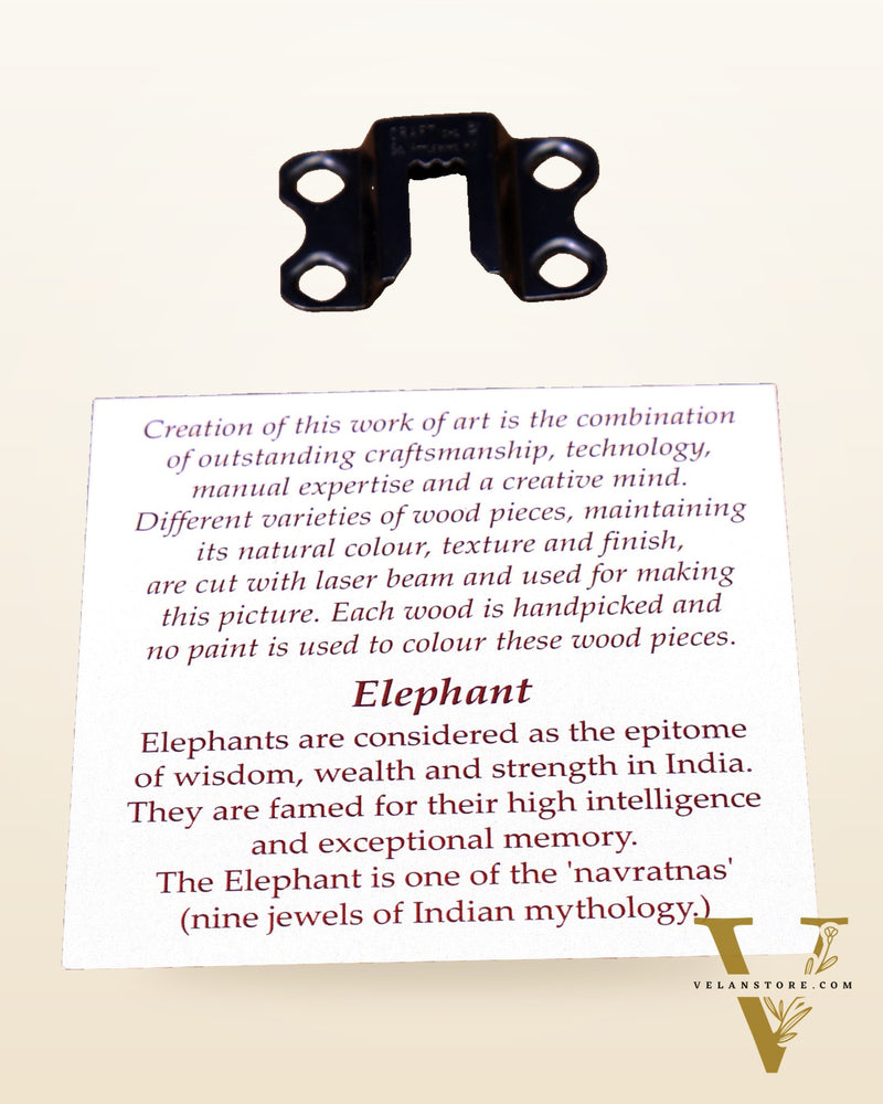 Group of 8 Legendary Elephants | 3D Wooden Wall Hanging Frame with Glass