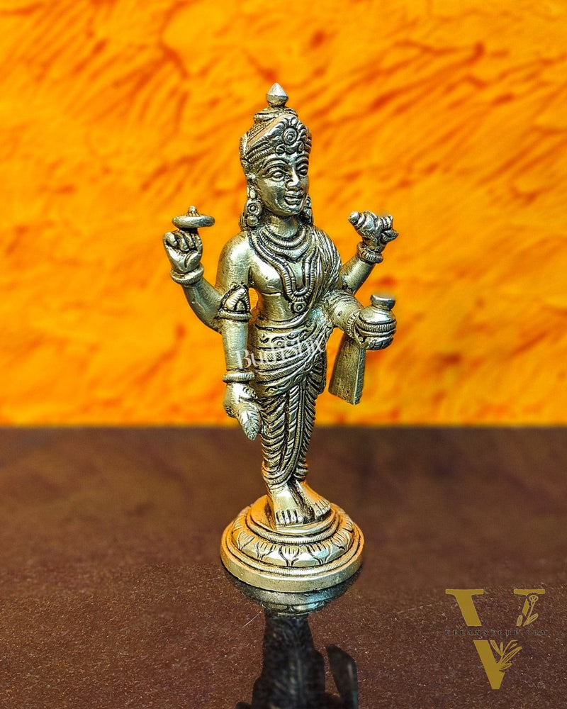 Handcrafted Brass Statue of Lord Dhanvantari, the God of Ayurveda | Fine Craftsmanship 6.5"