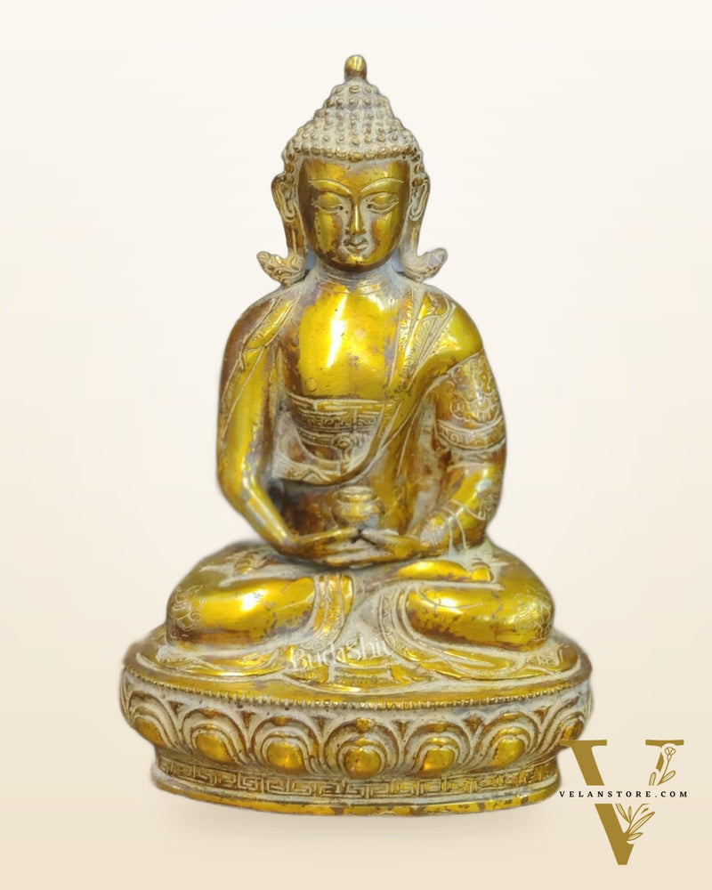 Handcrafted Buddha Statue in Vitarka Mudra | Antique Rustic Finish | 12" x 9" x 6"