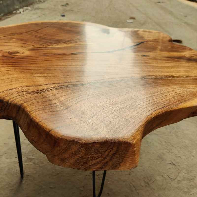 Rustic Live Edge Solid Wood Crosscut Slab | Organic Trunk Tree Coffee Table | Custom Natural Wood Center Table - Home Interior Decor