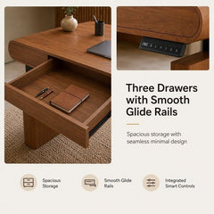 Mid-Century Modern Electric Standing Desk with Height Adjustment, Charging Port & Drawers