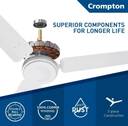 Crompton HS Plus with 24 Months Warranty Energy Saving 1200 mm Ceiling Fan (Opal White | Pack of 1)
