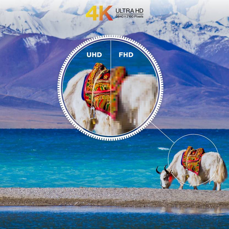 Iffalcon U64 139 cm (55 inch) Ultra HD (4K) LED Smart Google TV with 24W Dolby Audio, HDR10 (iFF55U64)-4