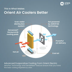 Ocean Air Desert Cooler with Honeycomb Pads