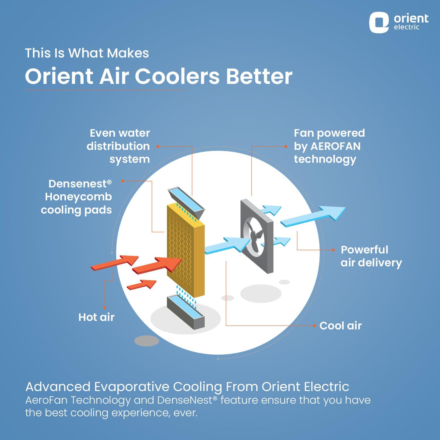 Avante Desert Air Cooler with Honeycomb Pads