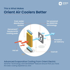 Aerostorm Desert Air Cooler