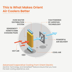 Knight Plus Desert Air Cooler