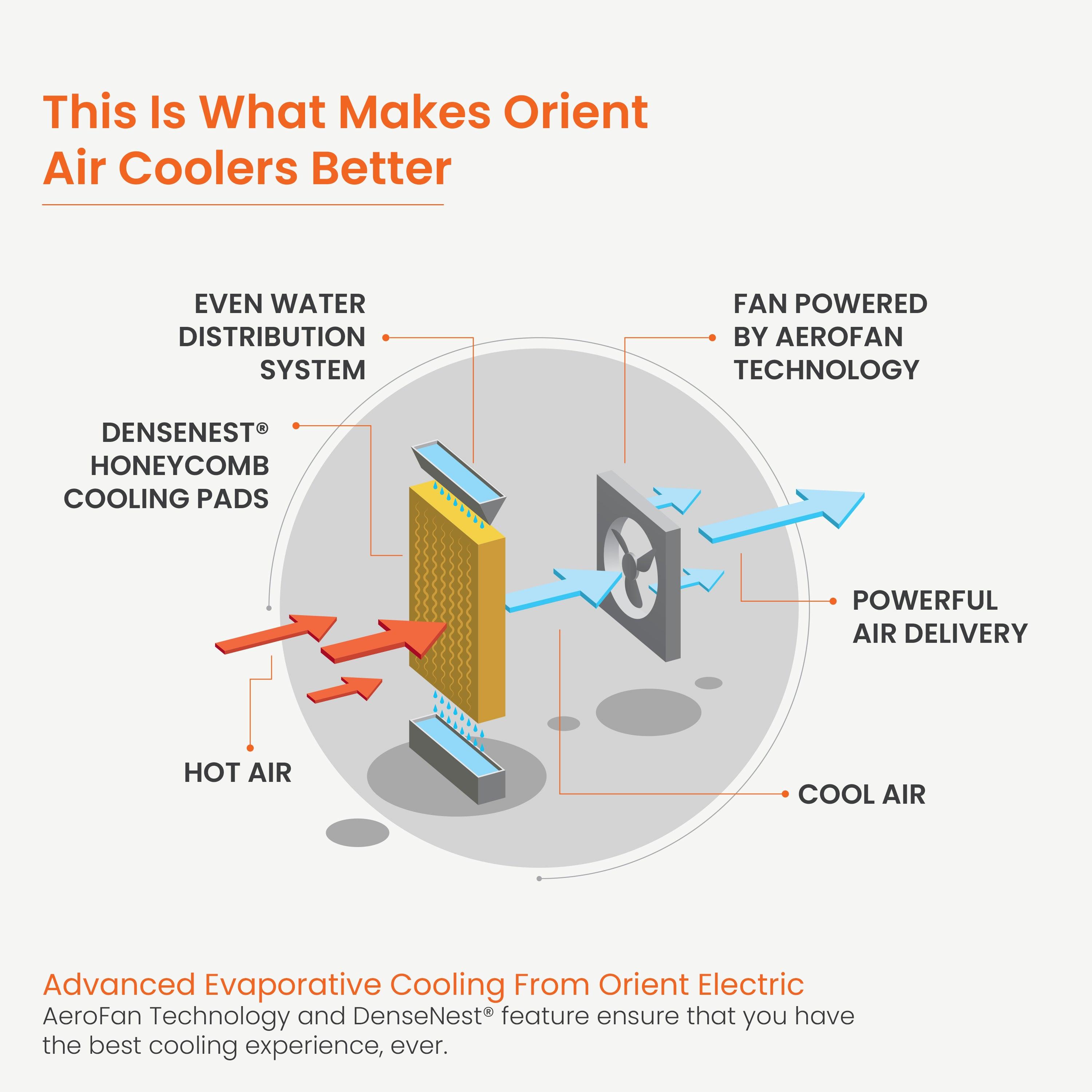 Knight Plus Desert Air Cooler