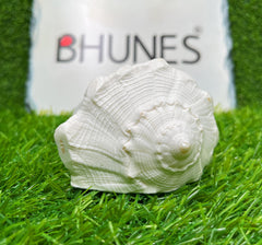 Bhunes Natural Non Blowing Pooja Right Hand Lakshmi Valampuri Shankh, Dakshinavarti Conch,White, 4.5 Inch, 1 Piece
