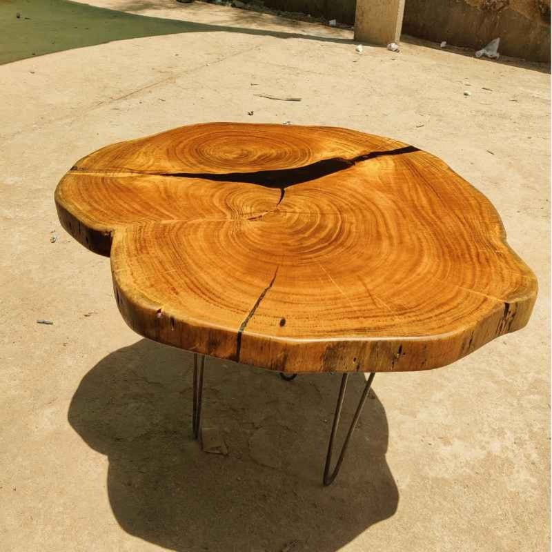 Live Edge Solid Wood Trunk Tree Slab with Minimal Epoxy | Organic Wood Coffee Table | Minimal Resin Center Table Top