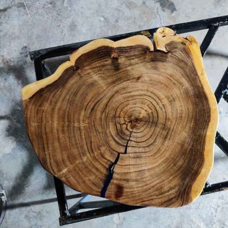 Live Edge Solid Wood Trunk Tree Slab with Minimal Epoxy | Organic Wood Coffee Table | Minimal Resin Center Table Top