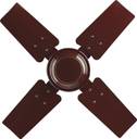 BAJAJ Maxima with 2 Year Warranty Anti Dust 600 mm Ceiling Fan (1 Star | Brown | Pack of 1)