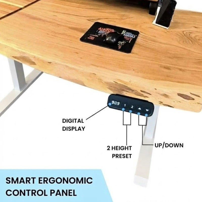Electric Height Adjustable Standing Desk with Live Edge Solid Wood Desk with Multiple top options