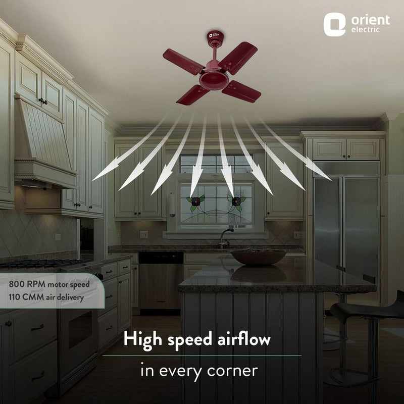 Orient Electric 600 MM New Air Plus Ceiling Fan-2