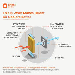 Orient Electric 40 L Room/Personal Air Cooler