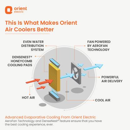 Orient Electric 40 L Room/Personal Air Cooler