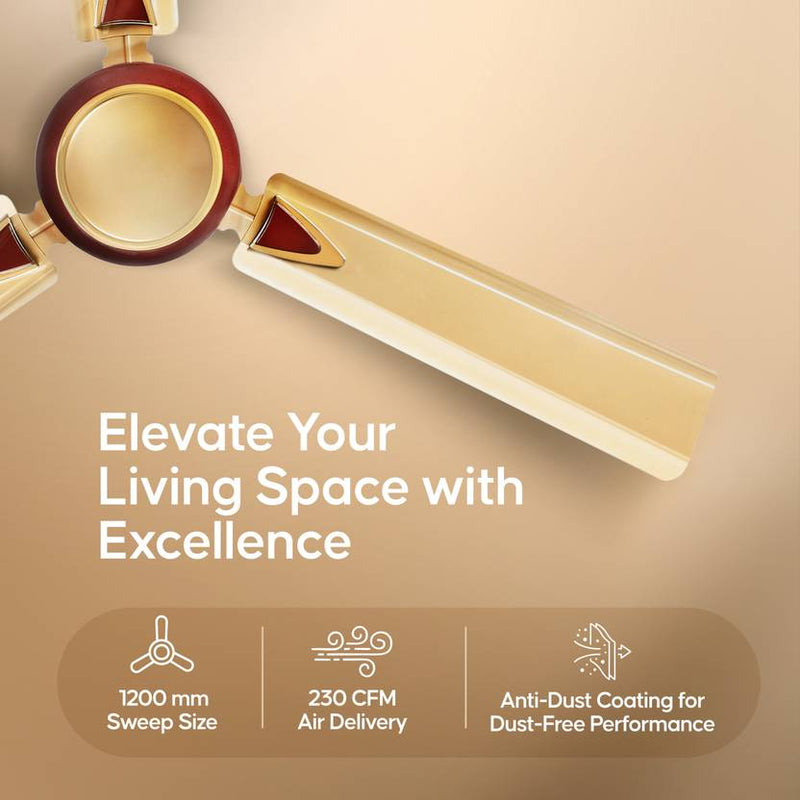 LONGWAY Starlite-1 P1 1200 mm/48 inch Ultra High Speed 3 Blade Anti-Dust Decorative Star Rated Ceiling Fan-5