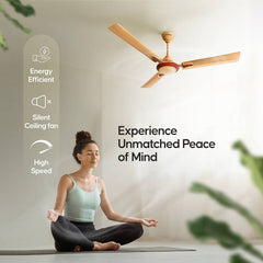 LONGWAY Starlite-1 P1 1200 mm/48 inch Ultra High Speed 3 Blade Anti-Dust Decorative Star Rated Ceiling Fan-6